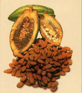 cacao001