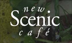 new-scenic-cafe