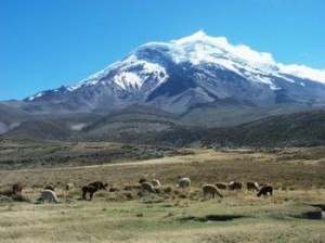 El Chimborazo