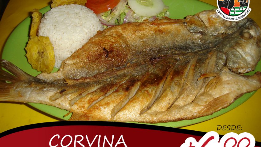 corvina-frita