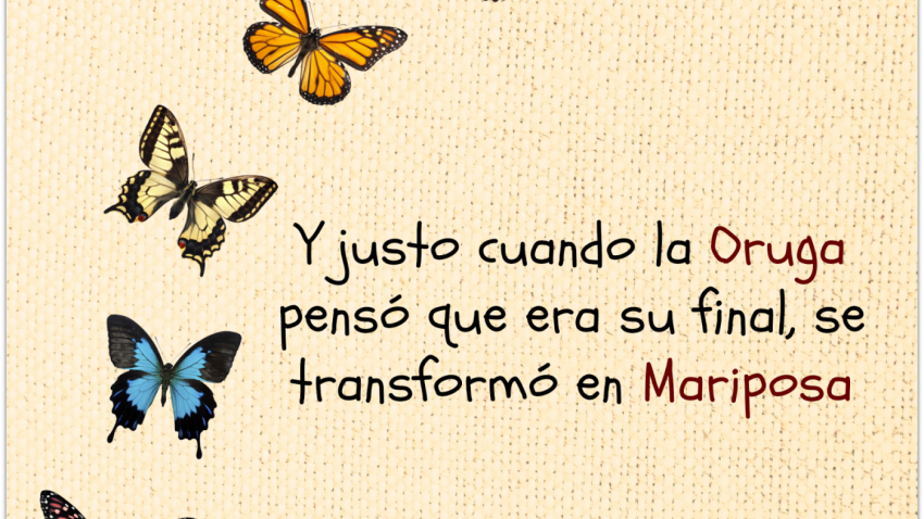 mariposa-collage