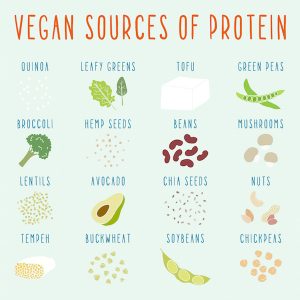 VeganSources-ofProtein