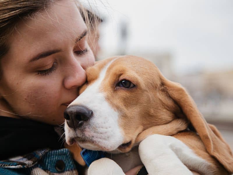 mascotas del mundo protegidas