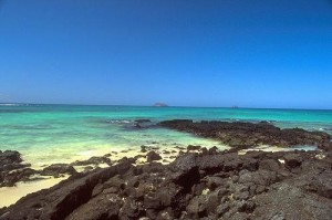 Hermoso Galápagos