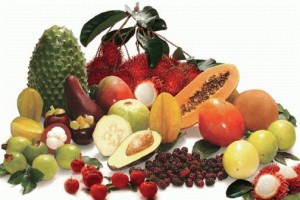 foro-frutas