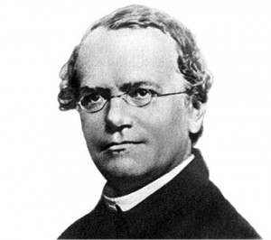 mendel_gregorio_2