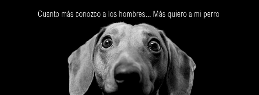 488-mas-quiero-a-mi-perro-portada-facebook
