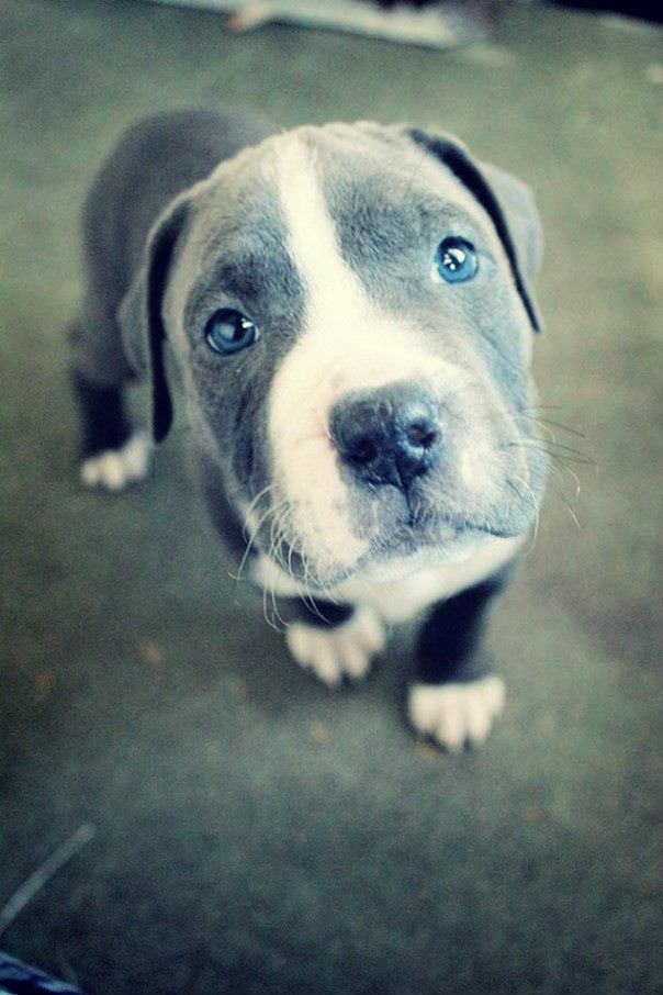 984126_805133416163977_3939201406768785762_n