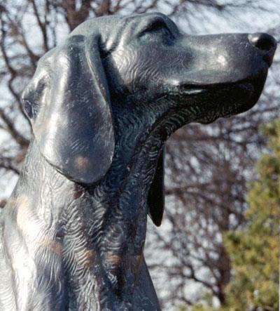 311094_10150821802165224_1524420773_n