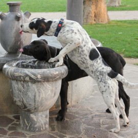 Depositphotos_11453253_s-270x270