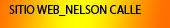 Sitio Web Nelson Calle