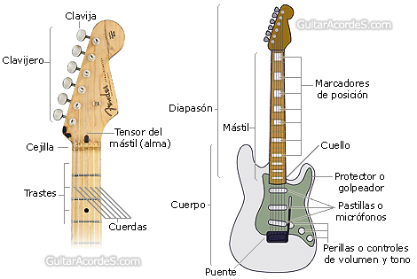 estructuraguitarraelectrica