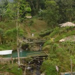 Comunidad Shuar en Guayas