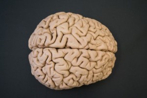 #2 cerebro