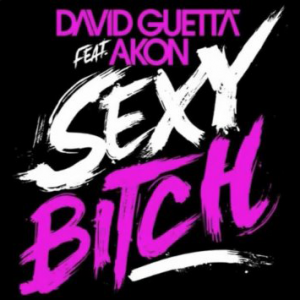 david-guetta-feat-akon-sexy-bitch-single