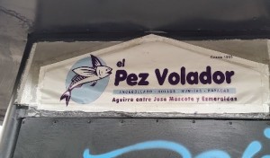 pez-volador-guayaquil