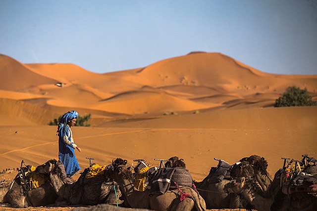 Viajar al desierto