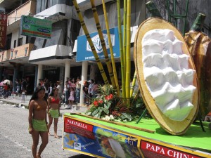 Carro Alegórico