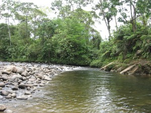 Vista del Río Pindo