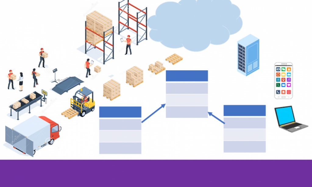 logística y sistemas