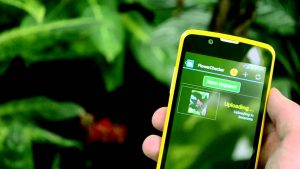 Aplicaciones para cultivar plantas y crear huertos aumentan de usuarios. Apps