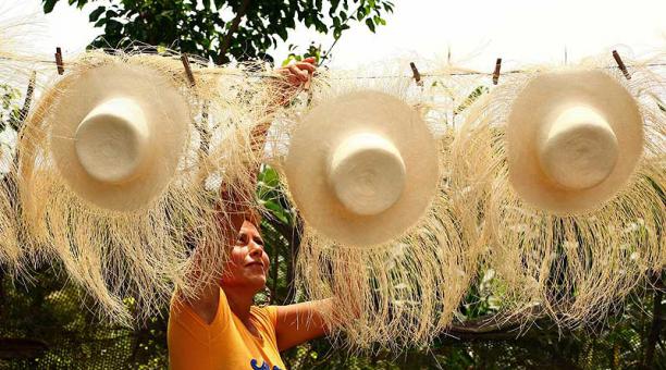 Festival del sombrero de paja toquilla un éxito en Cuenca Ecuador