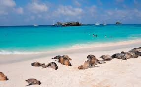 Ecuador busca reactivar el turismo en las Islas Galápagos.