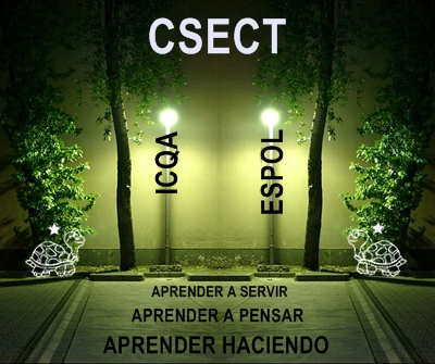 APRENDER HACIENDO - CSECT - LEARN BY DOING