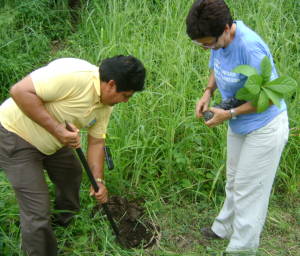 sembrando un arbol