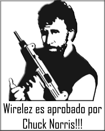 Chuck Norris aprobó Wirelez Blog!!!
