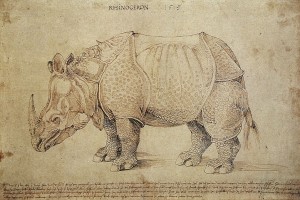  Rinoceronte de Alberto Durero (1515), con papel y tinta