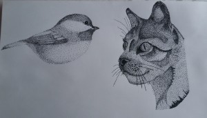 bird and cat