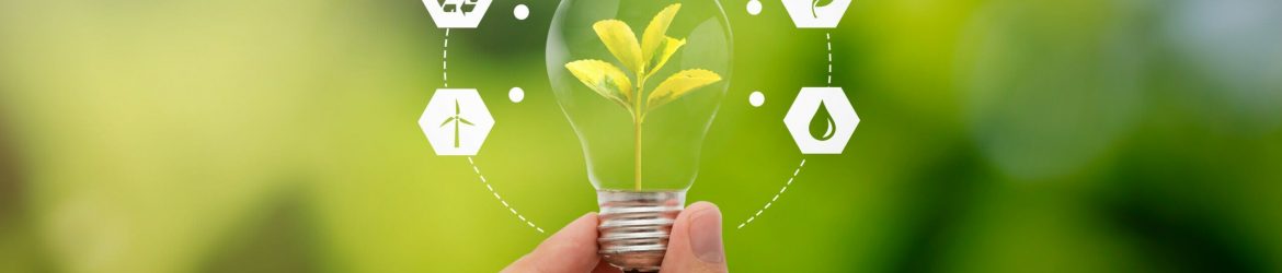 Certificados de Eficiencia Energética: La Llave para un Futuro ...