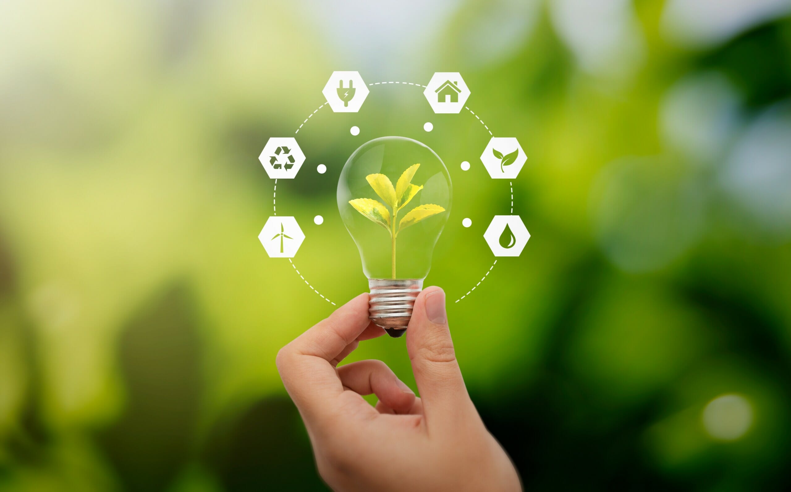 Certificados de Eficiencia Energética: La Llave para un Futuro ...