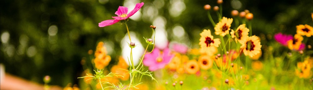 LA INGENIERÍA CIVIL Y LA CIVILIZACIÓN