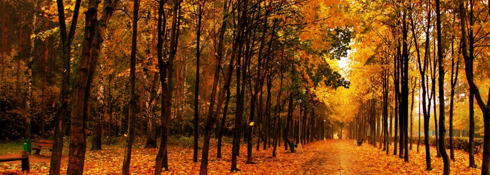 LA INGENIERÍA CIVIL Y LA CIVILIZACIÓN