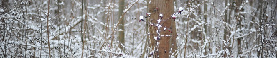 ¡Ser feliz es mi decisión!